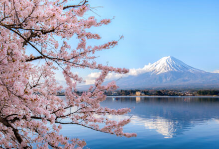 Mount fuji at Lake kawaguchiko with cherry blossom in Yamanashi near Tokyo, Japan.